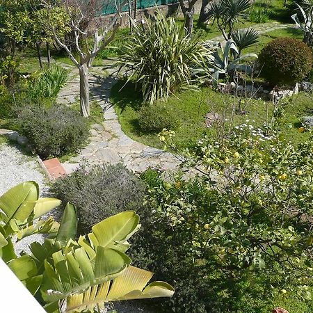 Appartement D Artiste Hyeres Ngoại thất bức ảnh