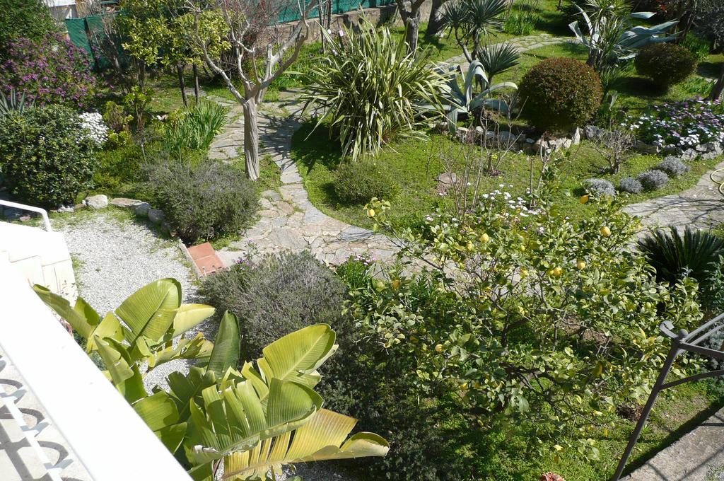 Appartement D Artiste Hyeres Ngoại thất bức ảnh